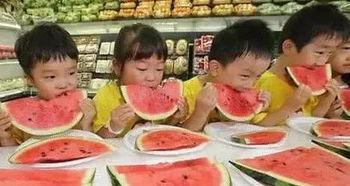 摸鱼吃瓜网,摸鱼吃瓜网带你畅游娱乐资讯海洋