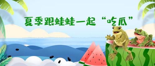 网红吃瓜呱呱呱,揭秘网络红人的幕后故事