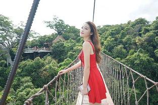 三亚吃瓜网红事件视频,一场网络热议的瓜田奇遇