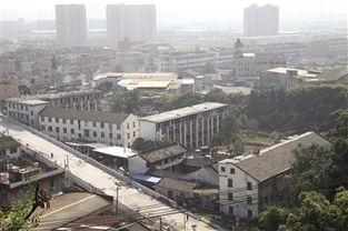 吃瓜网温州永兴