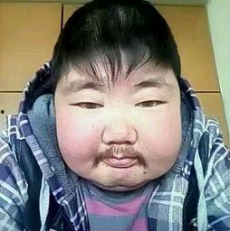 网红吃瓜胖子图片大全高清