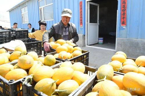网红吃瓜 中国,揭秘网络热点背后的故事