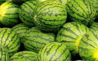 如何看吃瓜网,网络舆论场中的“瓜田”观察