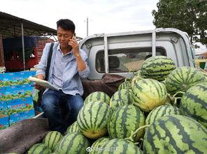 河南搞笑网红吃瓜事件,一场网络狂欢背后的笑与泪