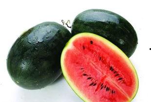 潍坊吃瓜网红有哪些名字,瓜田里的“吃瓜群众”风采录