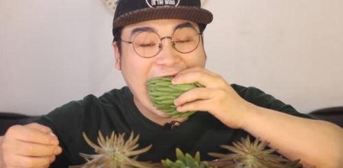 吃瓜小哥网红叫什么