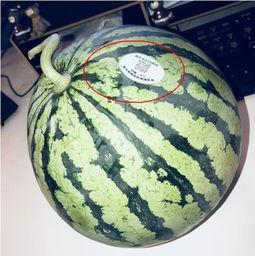 网红吃瓜七夕,揭秘娱乐圈甜蜜背后的秘密