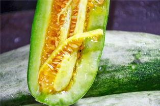 吃瓜最近网红,揭秘娱乐圈幕后故事