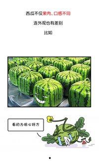 谁有吃瓜网,网络舆论场中的“瓜王”解析