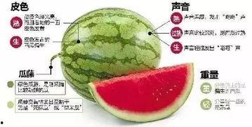 鞍山网红吃瓜群微信,揭秘网络红人的幕后故事