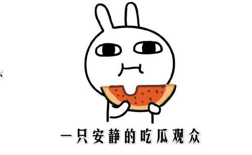 抖音网红吃瓜官网是啥,热门话题一网打尽